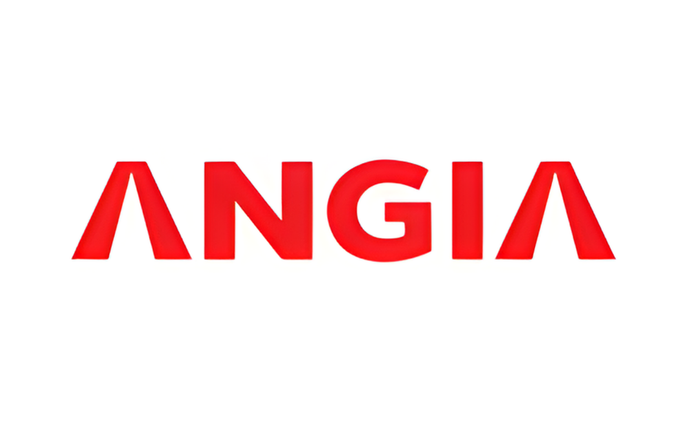 Logo An Gia